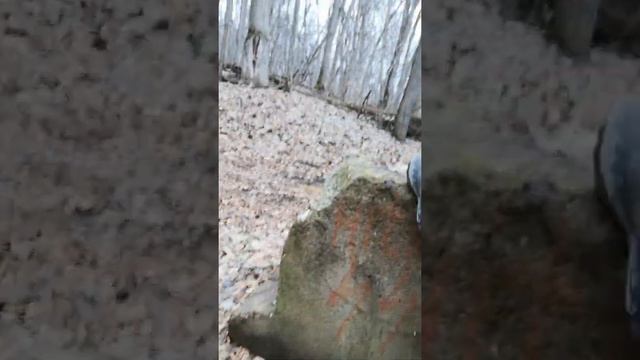 Эффекты Восприятия