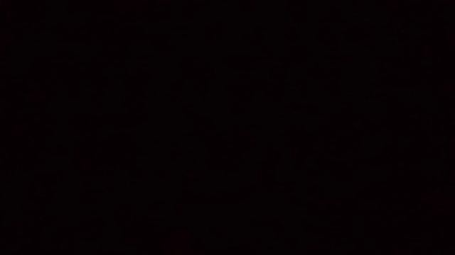 VID_20230110_041241.mp4