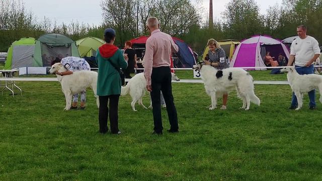 5cf0fd4b847150ac0f6788add0d99ccb