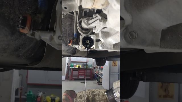 Замена масла и фильтров: двигатель, КПП, редуктор