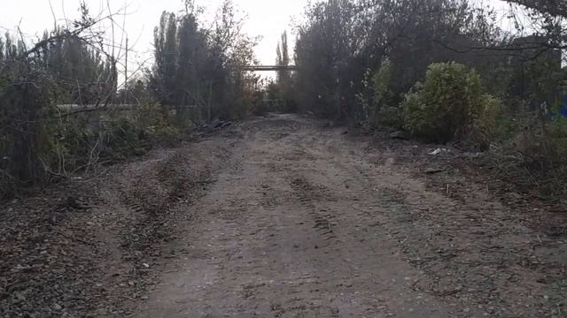 Заброшенная железная дорога. Заброшенный железнодорожный переезд. Железная дорога.