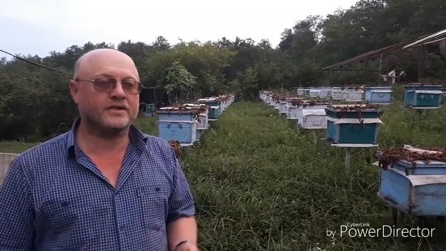 Особливості грузинського бджільництва