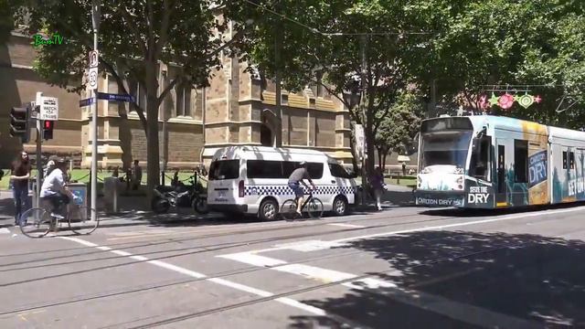 Экологические ответы