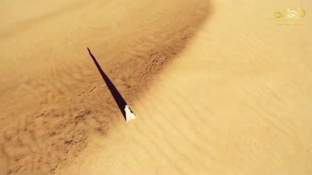 3aae055ad156d844bd06b864e154780e