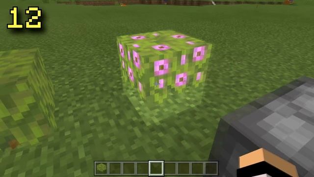 25 ГЛАВНЫХ ИЗМЕНЕНИЙ НОВОЙ БЕТЫ МАЙНКРАФТ ПЕ 1.16.220.52