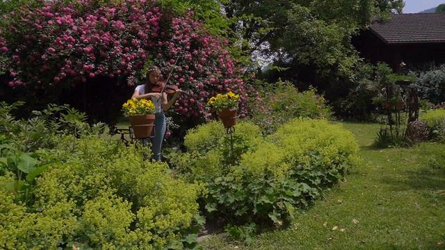 E0931ef77c1c5176aeb0ac176cef7695