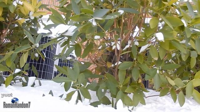 Nikon Coolpix S9500 Video Test Day & Night, Winter, Видео тест