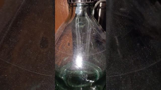 9 октября 2023 г.