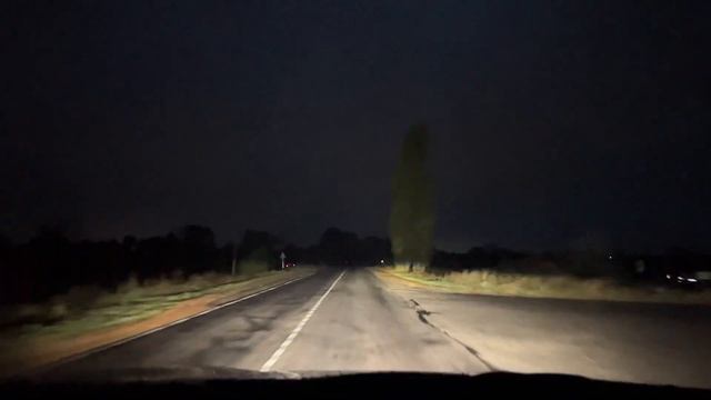 Dixel D1000 мокрый асфальт