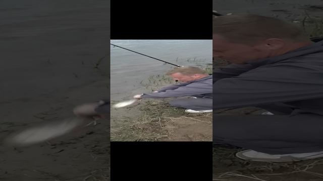 Станислав Морозов/красный сын