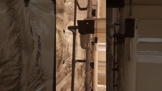 Сити ферма для выращивания клубники и микрозелени.