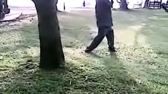 Qigong  Music Healing Through Er Hu