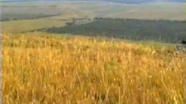 D37181541ae37048068e0c9b79d2c214