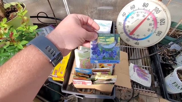 Early Seed Planting