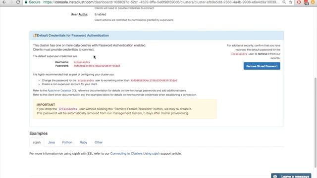 Connecting Your Apache Cassandra® Cluster With Instaclustr