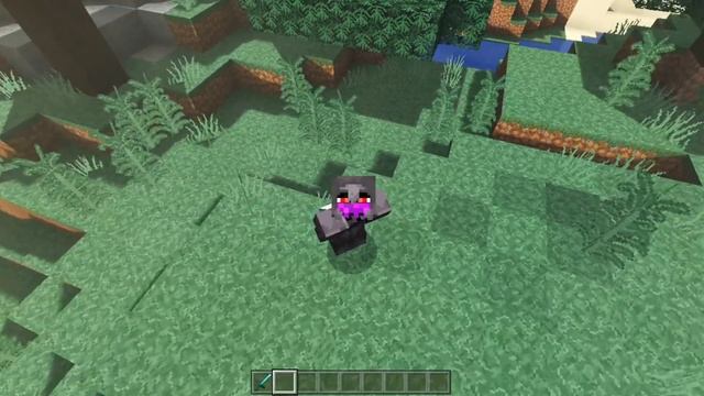 D6604e0a6d5a50bbbce496f383e5c254