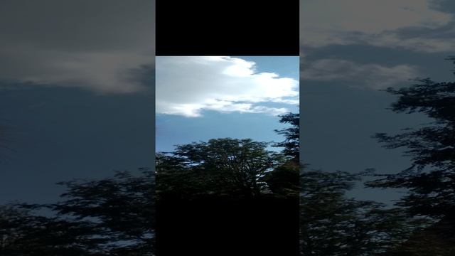 D379fea11439ed859fbeab069bd5f883