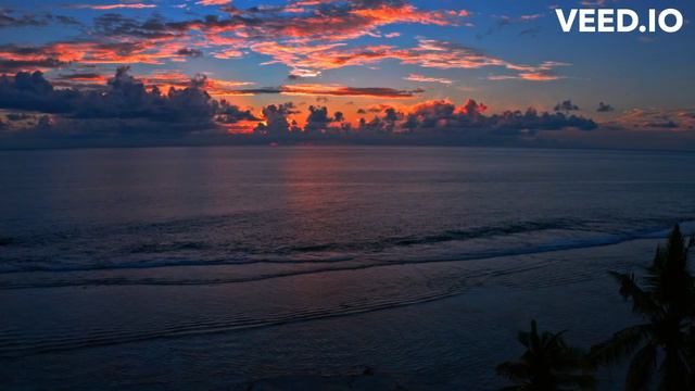 Director Of Public Prosecutions - Update 27/8/24