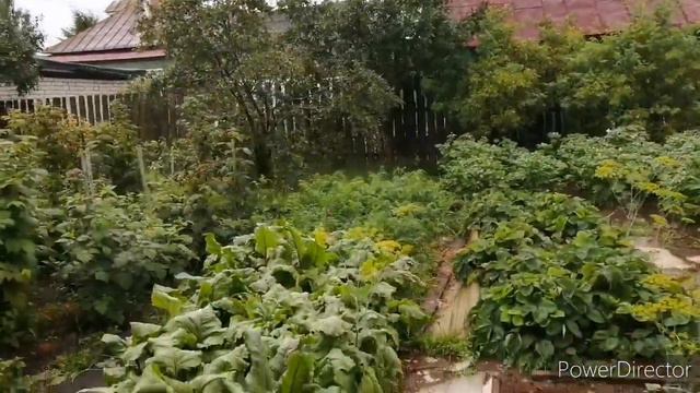 E347bbe9406b27520ec324f20f656cf4