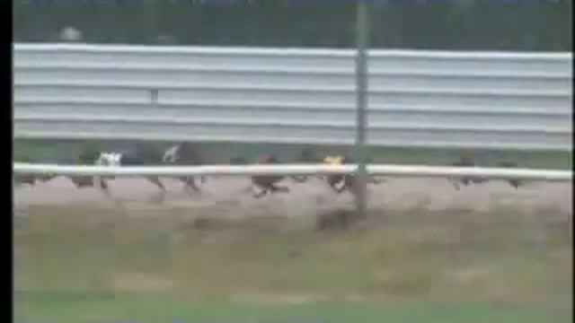 E0786e801b98ae14142301e05742e1e7