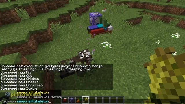 Forcing Minecraft Mobs To Sleep In A Bed