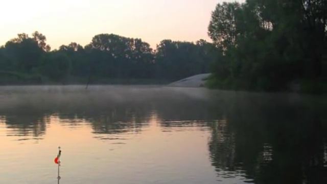 25171eedf0e58dd27dd0b8c8feaf745f