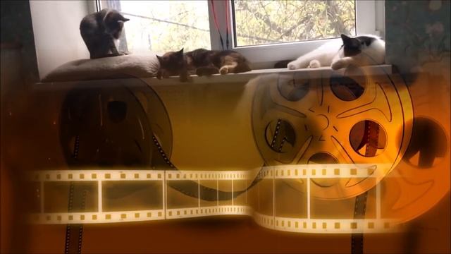 Кочубей, Шувалов и Пятнышко.