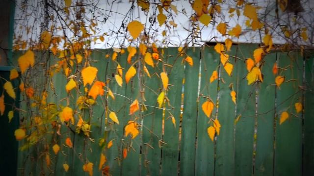 Lumix G6 + колор коррекция. тест