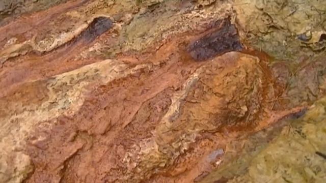 Минеральный берег реки Сыни