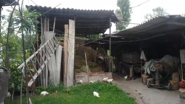 Сокулук Романавка айылы