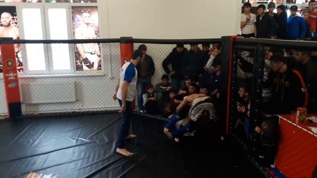 B41da4cedf3d42d5381bcb6c79f54119