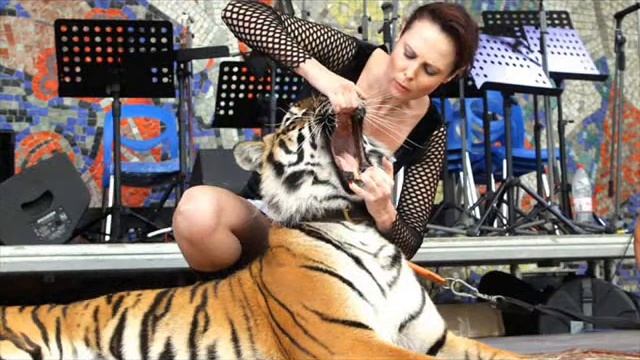 9b957737b6fdba060321bb1973fe056a