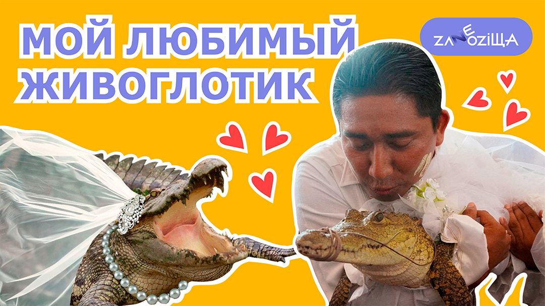 Мексиканский мэр женился на самке крокодила.