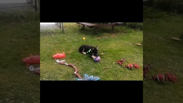 1c96319a14c939add17ab1e2f559e6ca