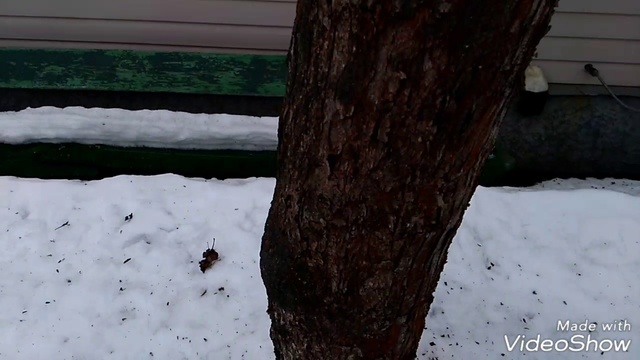 3d00ac5099266251f9e2514ec0a8d116