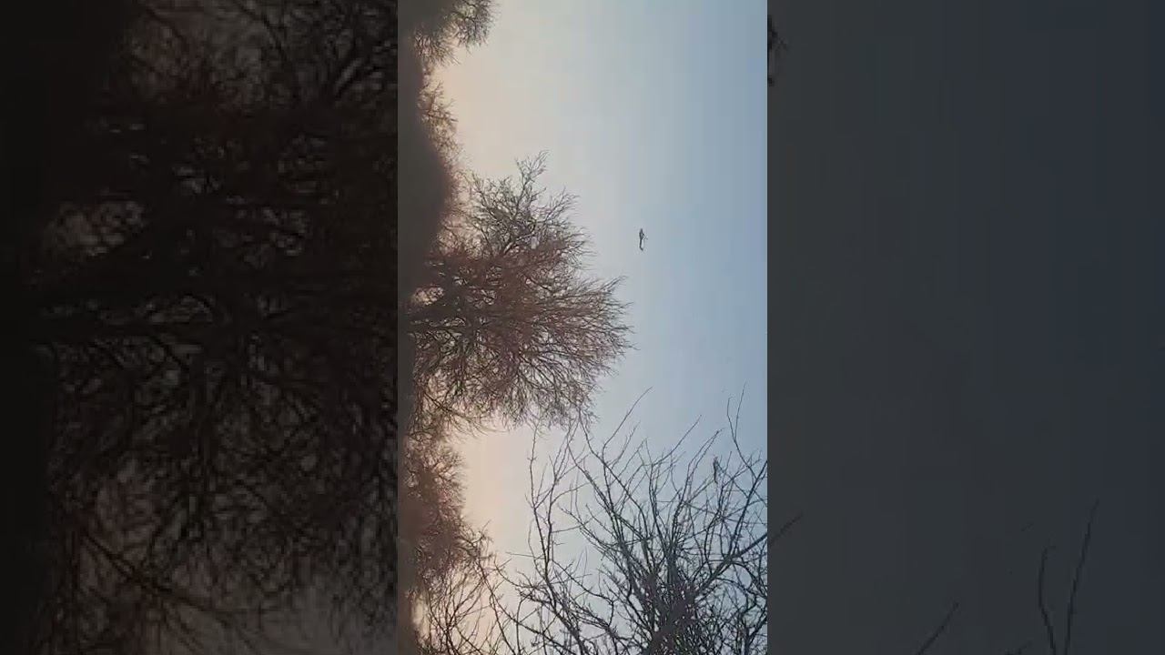 Вертолеты летят откуда и куда не понятно