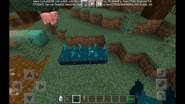 обзор на версию Майнкрафт пе 1.16.220.50(скачать можно в Гугле)
