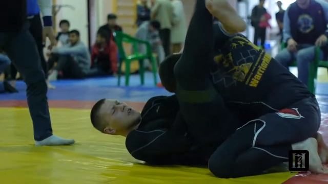 БРАЗИЛЬСКИЙ ТРЕУГОЛЬНИК 5