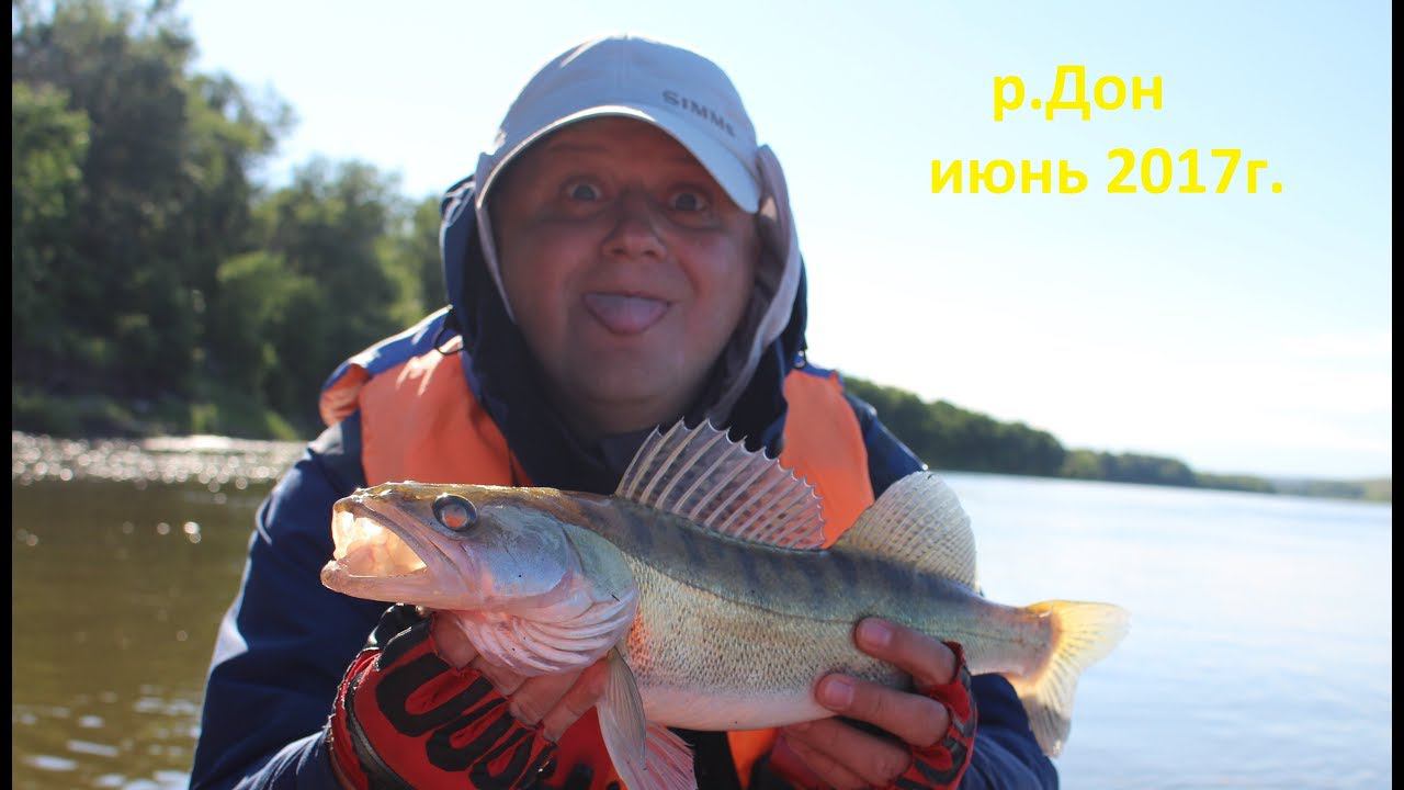 Ловля судака на Дону холодным летом 2017