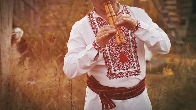 E9cbcd081180e19f8ff11cd539f59d4f