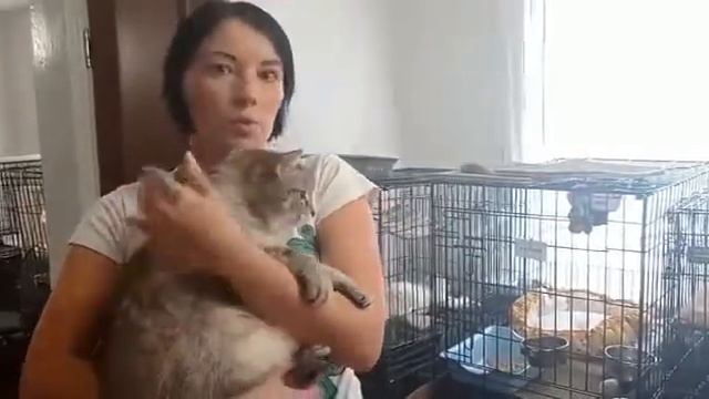 Спасибо от приюта «Лёхин дом»