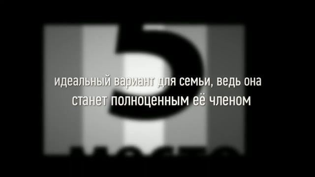 ТОП 5 самых добрых пород собак