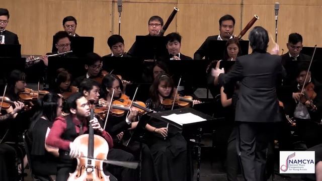 Tchaikovsky's Variations On A Rococo Theme, Op  33, For Cello (Excerpt)