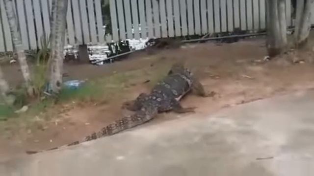 где дешевле купить тур в тайланд