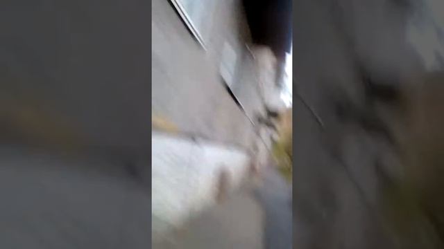 Стрит первый раз катаюсь с креплением для камеры