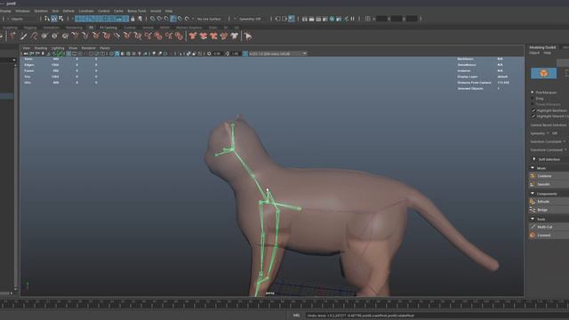 Основы построения скелета