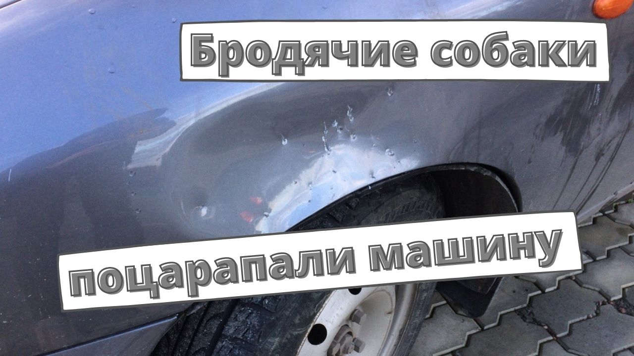 Автосправочная