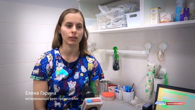Как спасают кошку Грелочку