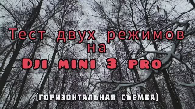 Dji Mini 3 Pro. Тест режимов Spotlight & Active Track в лесу