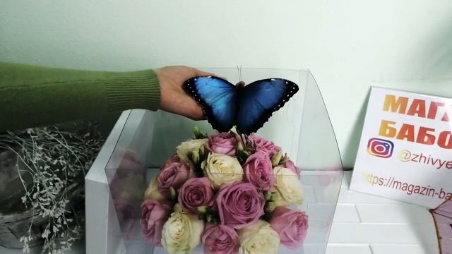Букет с бабочкой от Магазина бабочек. Ру